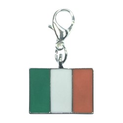 Ireland Flag / Irish Flag / Ireland Clip On Charm
