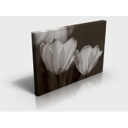 White Flowers Rectangular Canvas Print