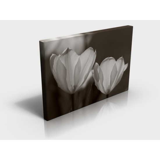 White Flowers Rectangular Canvas Print