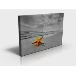Starfish Rectangular Canvas Print